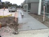 Coral-Springs-Honda-1