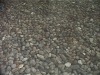 DVC00276