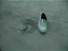 Picture-026